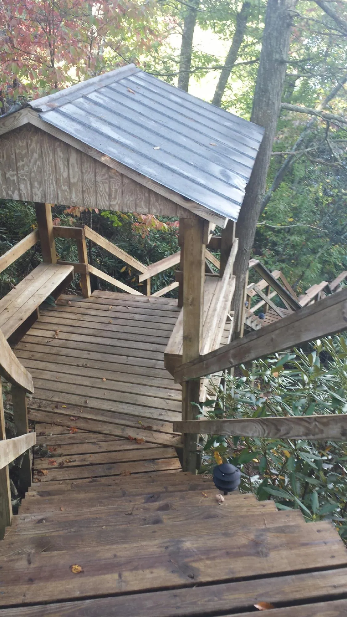 Metal roofed shelter over wooden steps on a wooded walkway — Skylight Repair & Installation work by our crew in Grimesland